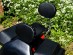 Studded Driver Rider Backrest Yamaha Dragstar XVS 1100 A Vstar XVS1100A CLASSIC